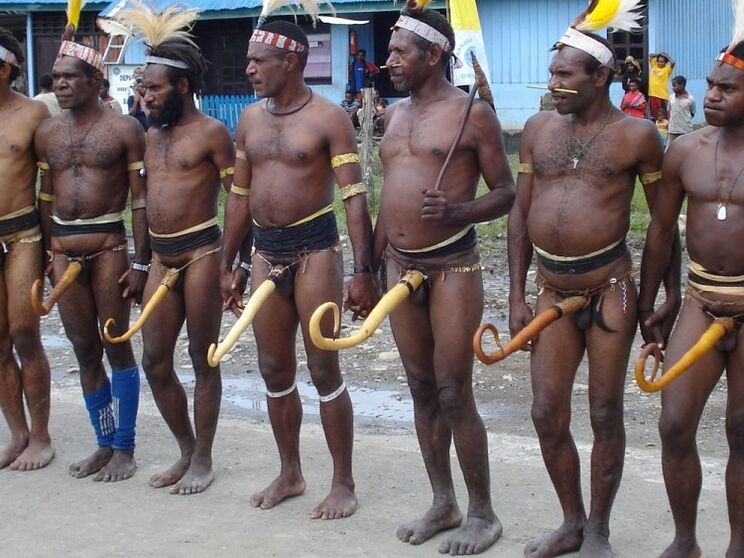 Papans with expanded members