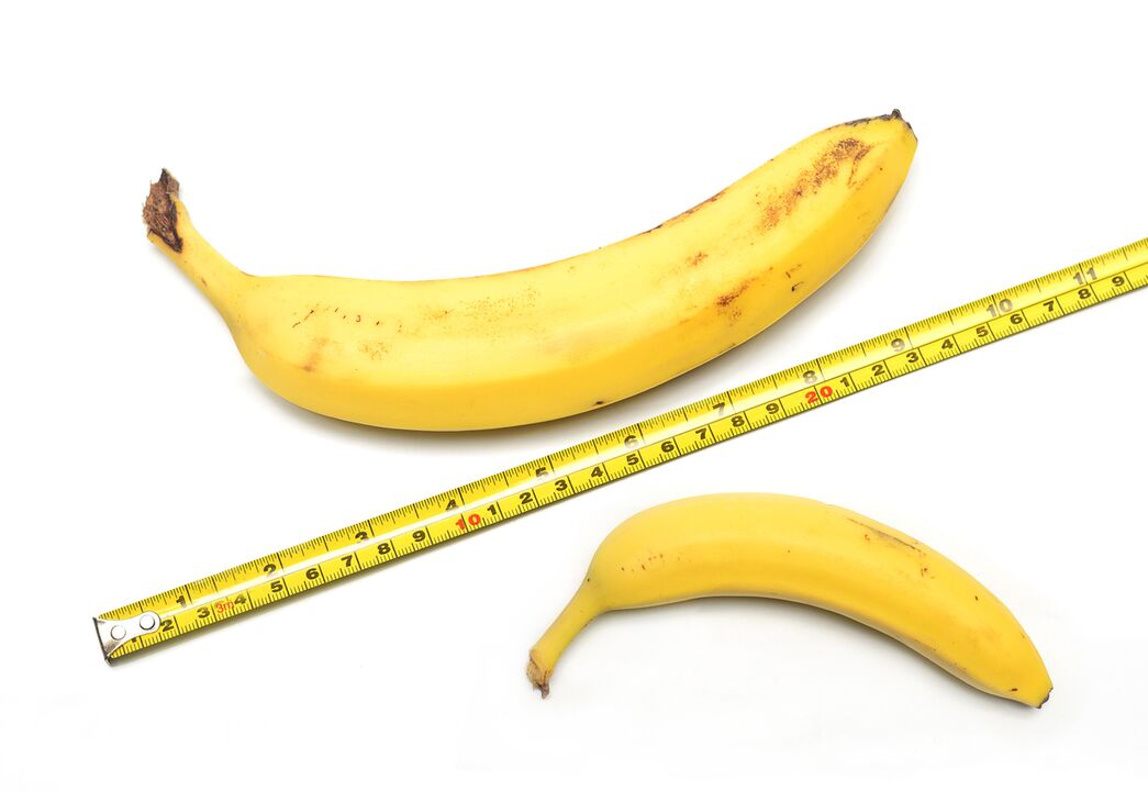 Penis enlargement results